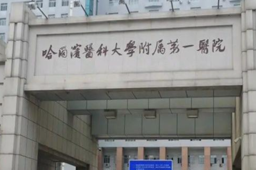 哈尔滨医科大学附属第一医院植发费用多少?于冬梅|远健医生案例一览